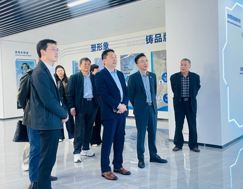 走訪企業深入調研 助力發展全面提升——鳩江區相關領導一行親臨南博參觀指導